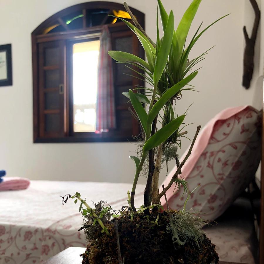 Pousada Atelier Aly Da Costa Iguape Ngoại thất bức ảnh