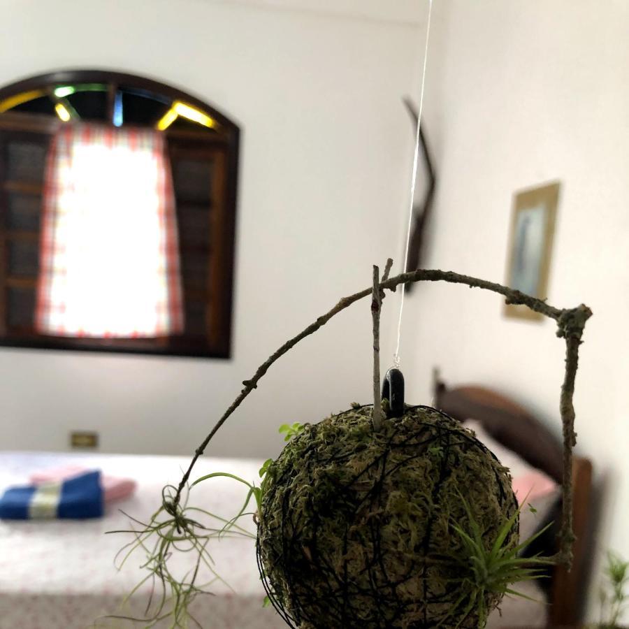 Pousada Atelier Aly Da Costa Iguape Ngoại thất bức ảnh